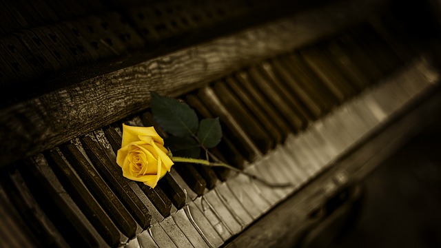 Die Tasten eines alten Klavieres, auf denen eine gelbe Rose liegt. Das Foto hat dunkle Ränder.